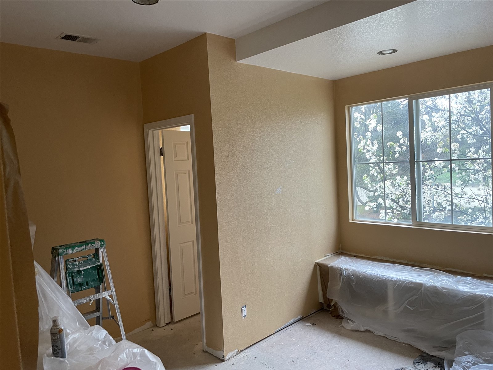 A Davis home interior protected and prepared for repair work